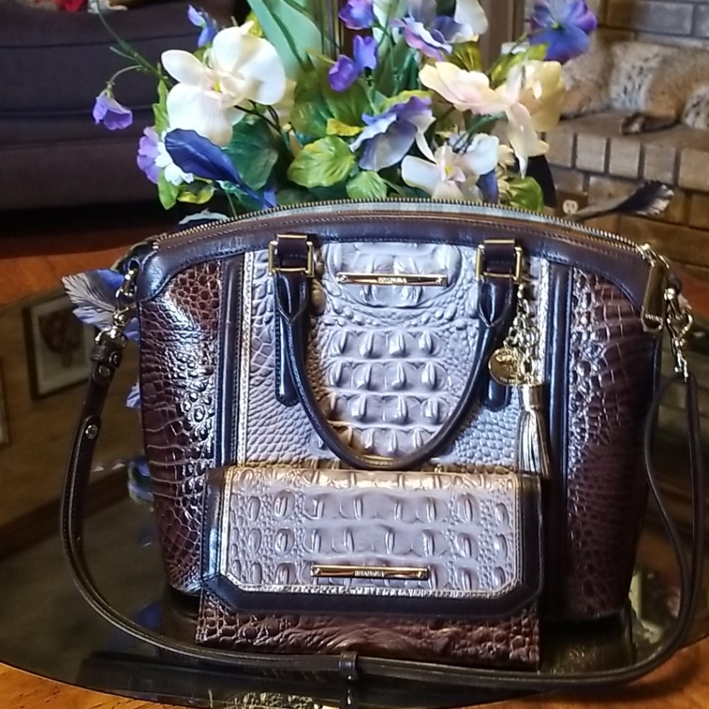 Brahmin purse and wallet